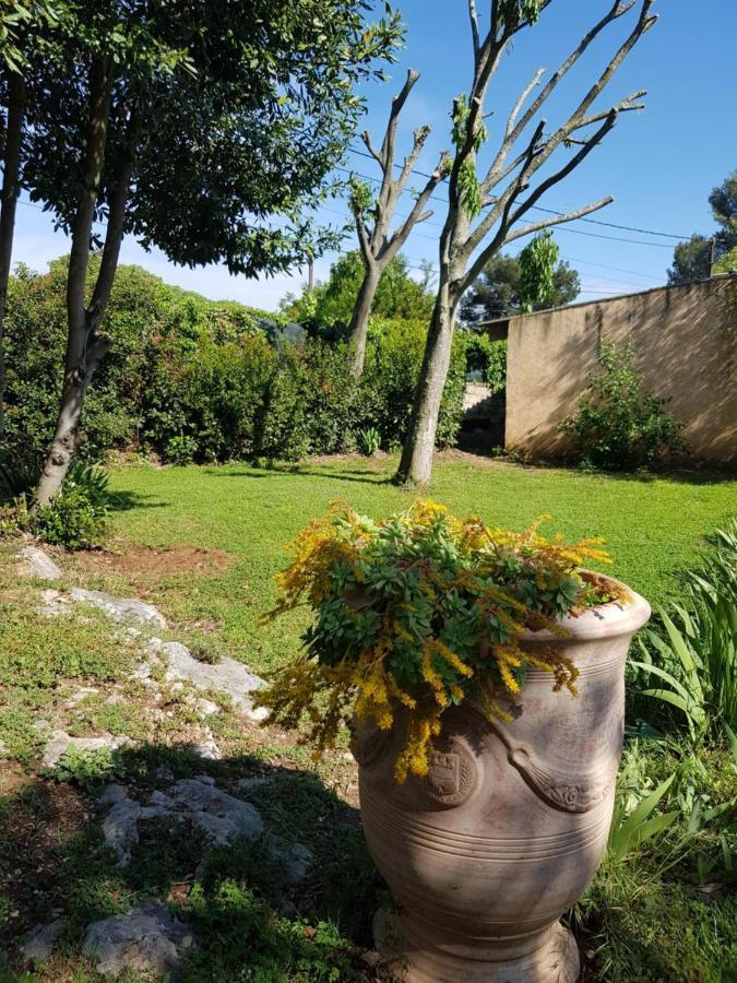Cap Au Sud Sweet Home Nîmes Exterior photo