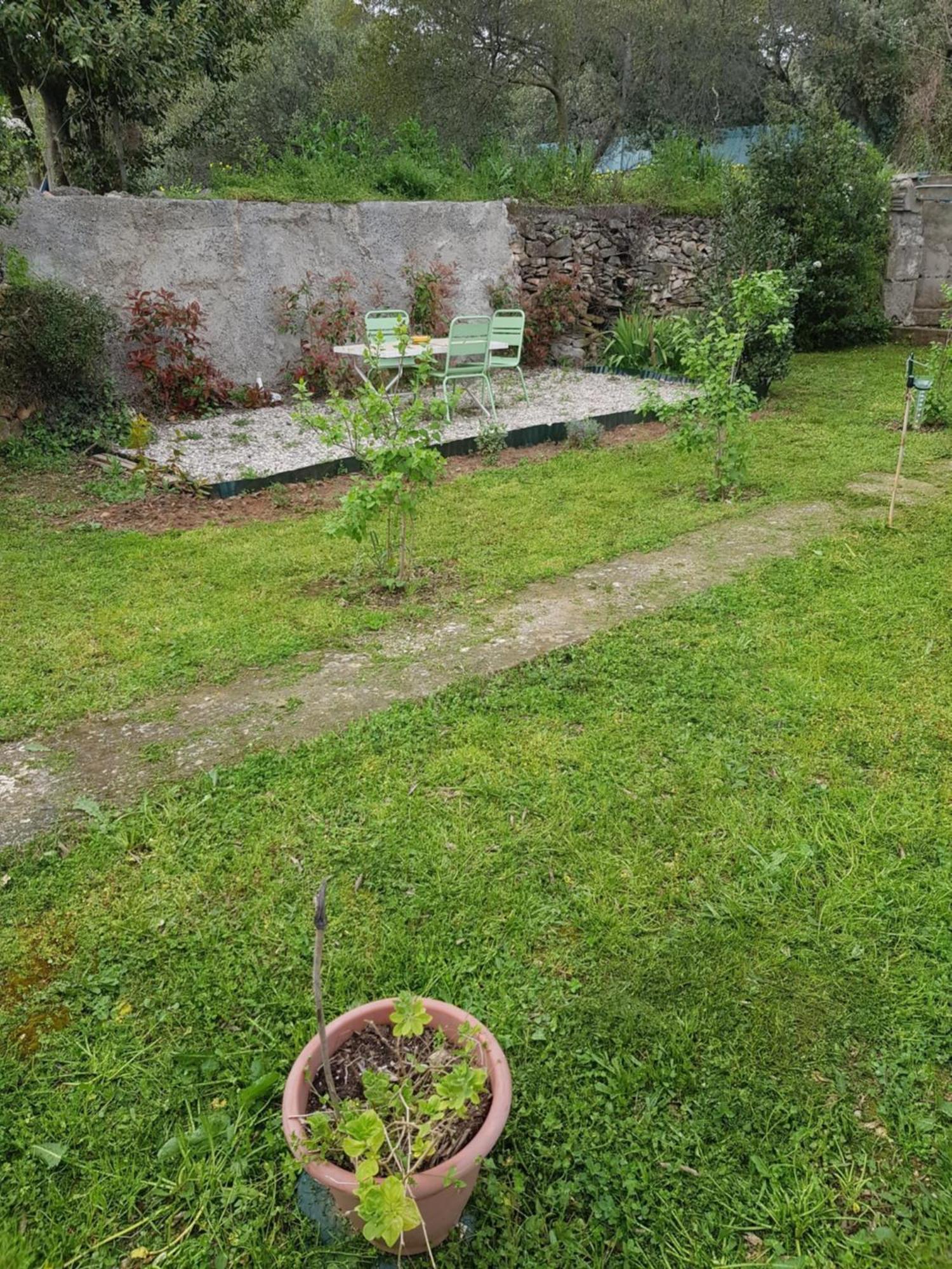 Cap Au Sud Sweet Home Nîmes Exterior photo
